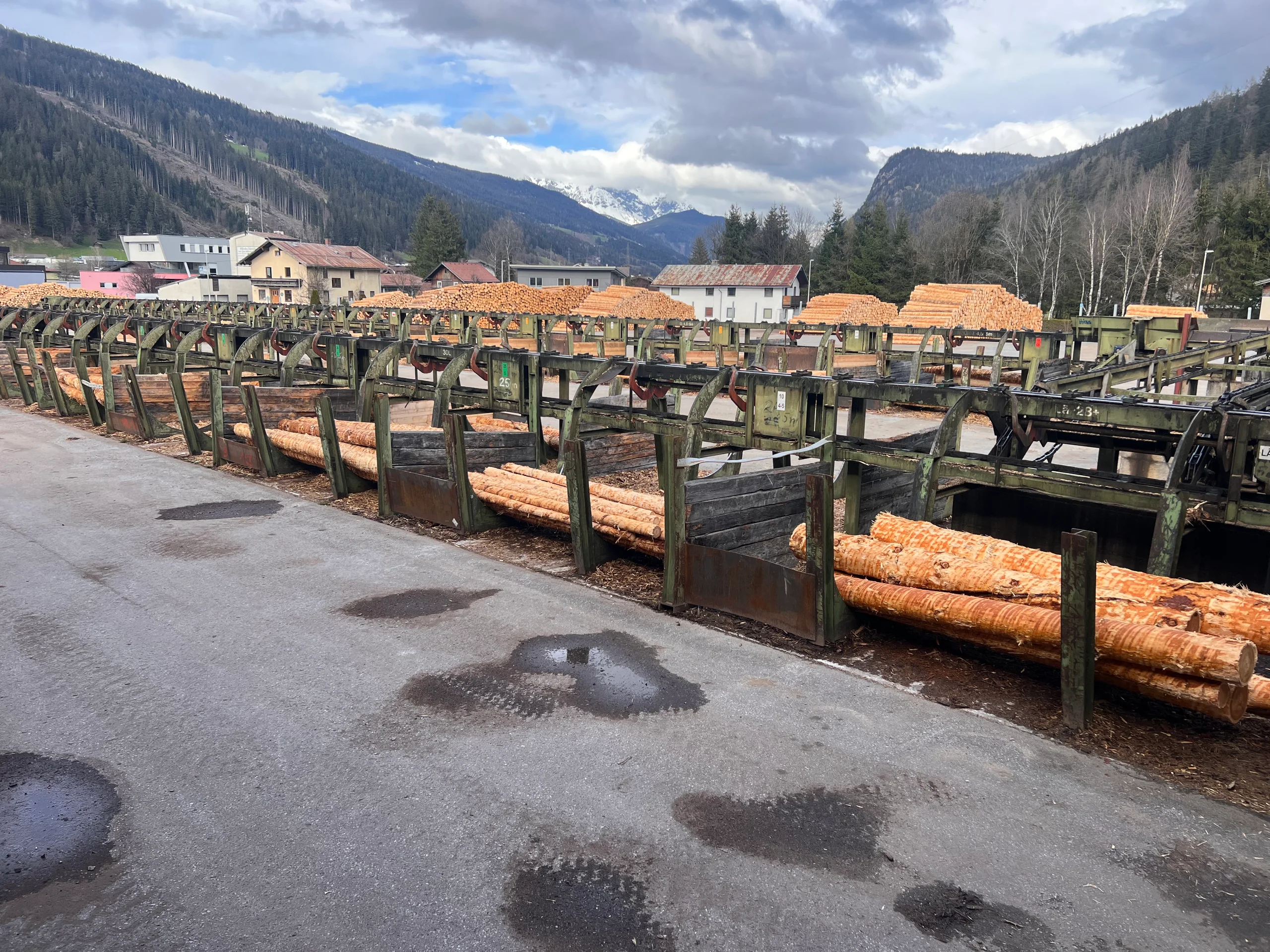 Installation de triage des grumes avec écorçage - Image 4