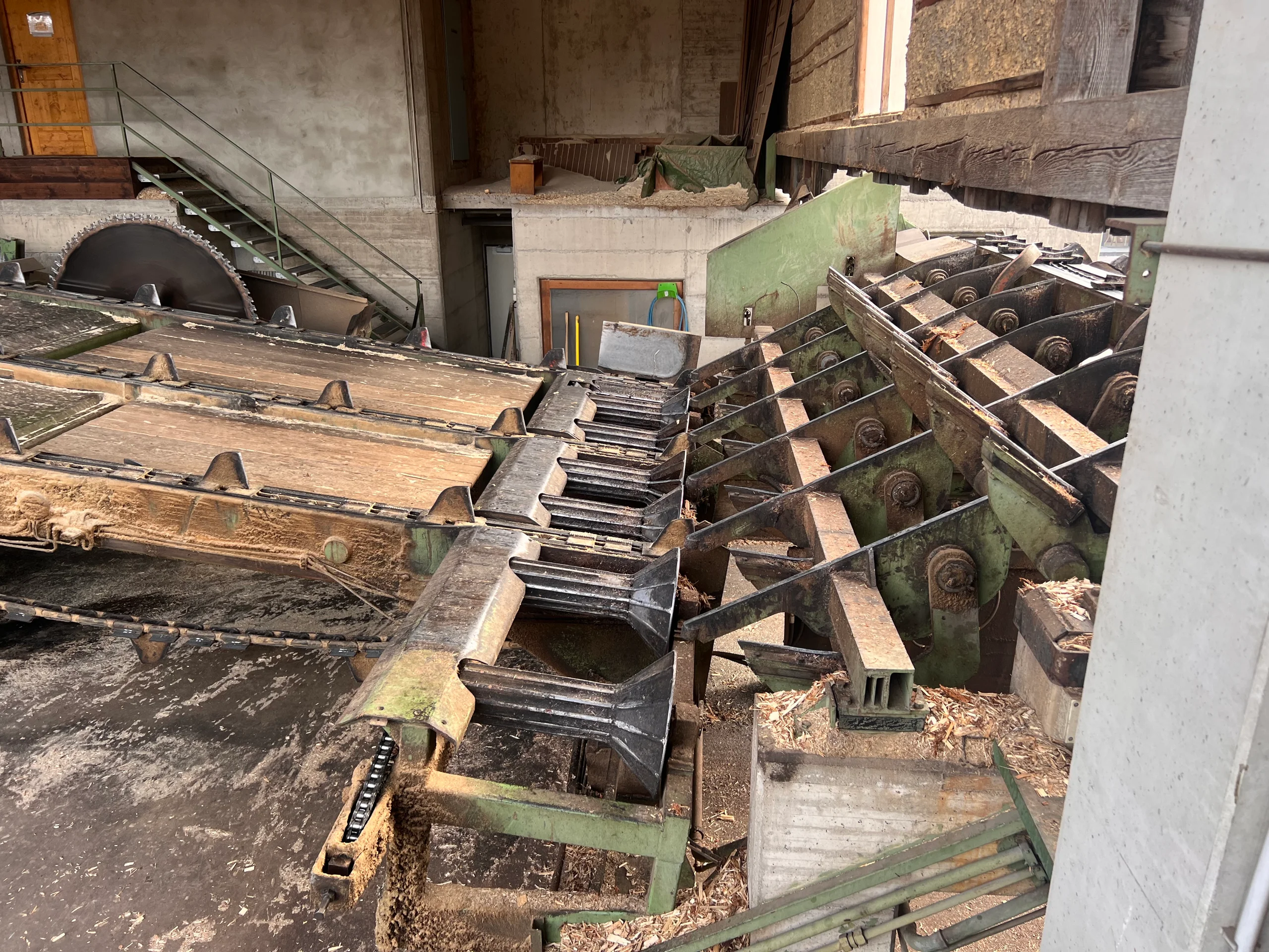 Installation de triage des grumes avec écorçage - Image 8