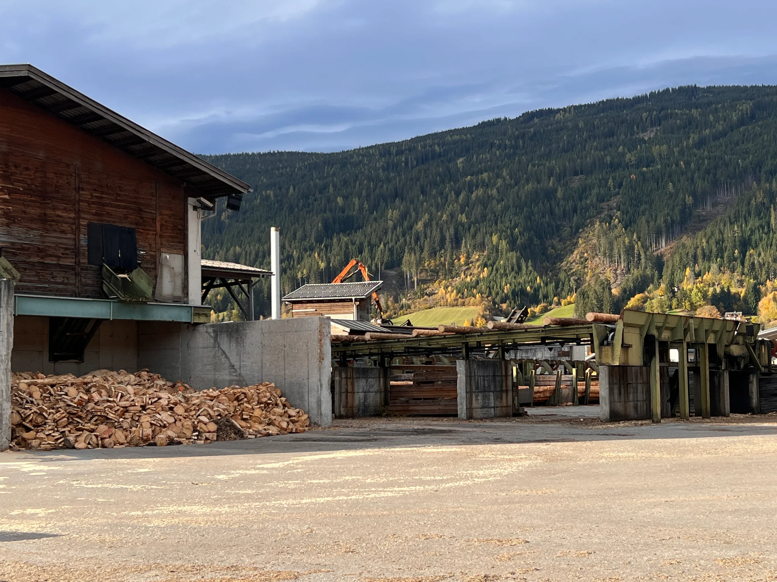 Installation de triage des grumes avec écorçage - Image 6