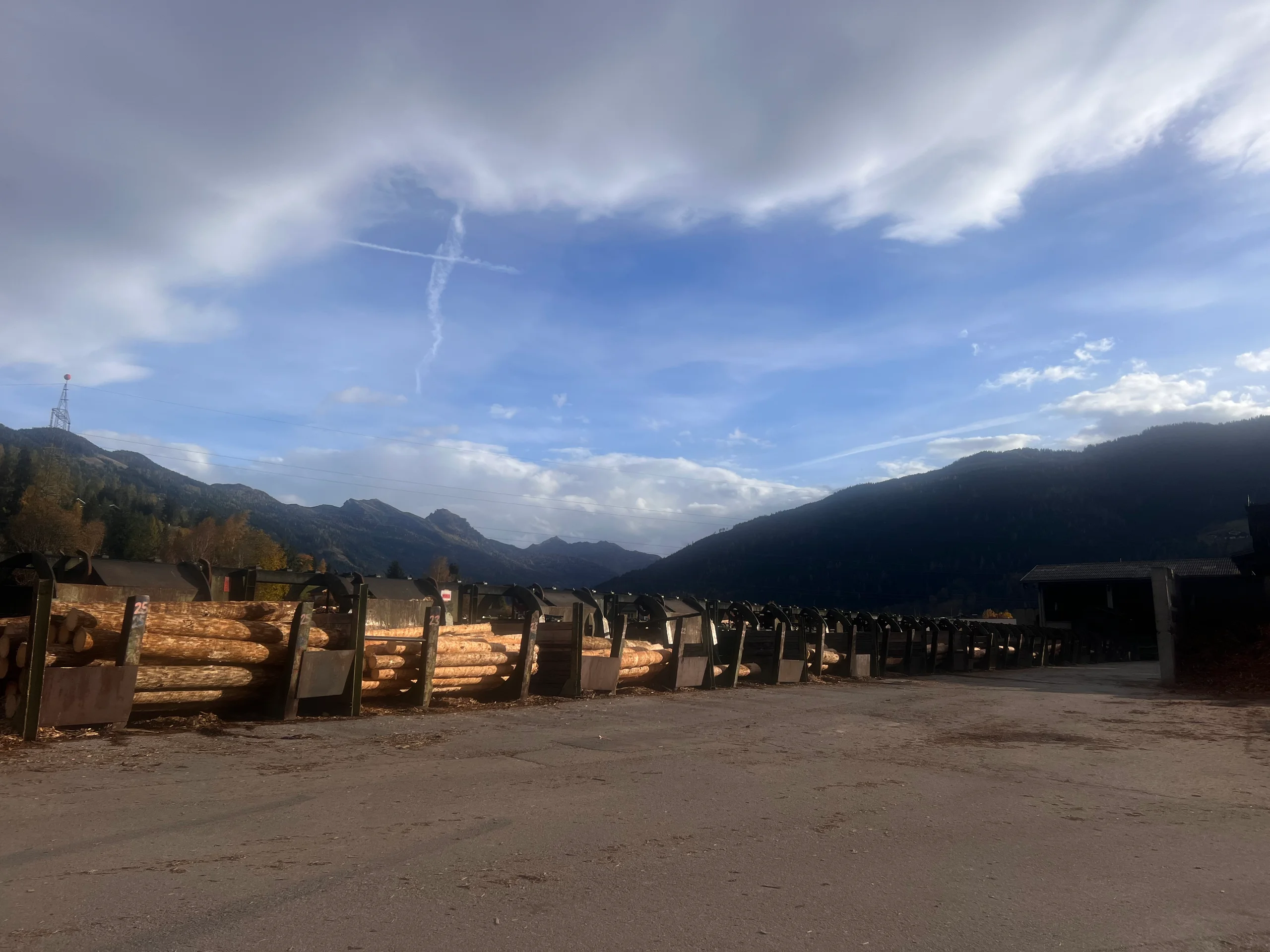 Installation de triage des grumes avec écorçage - Image 7