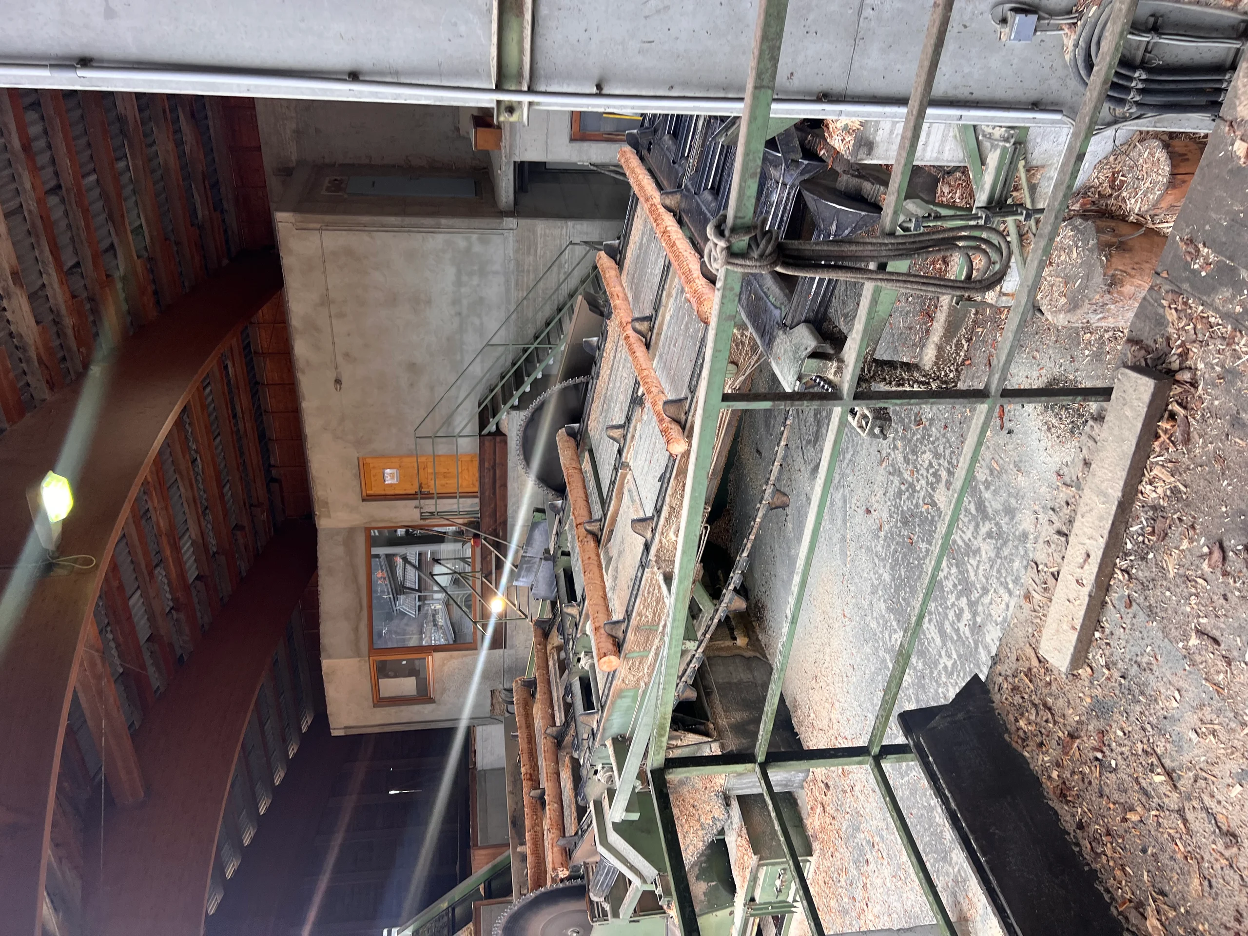 Installation de triage des grumes avec écorçage - Image 9