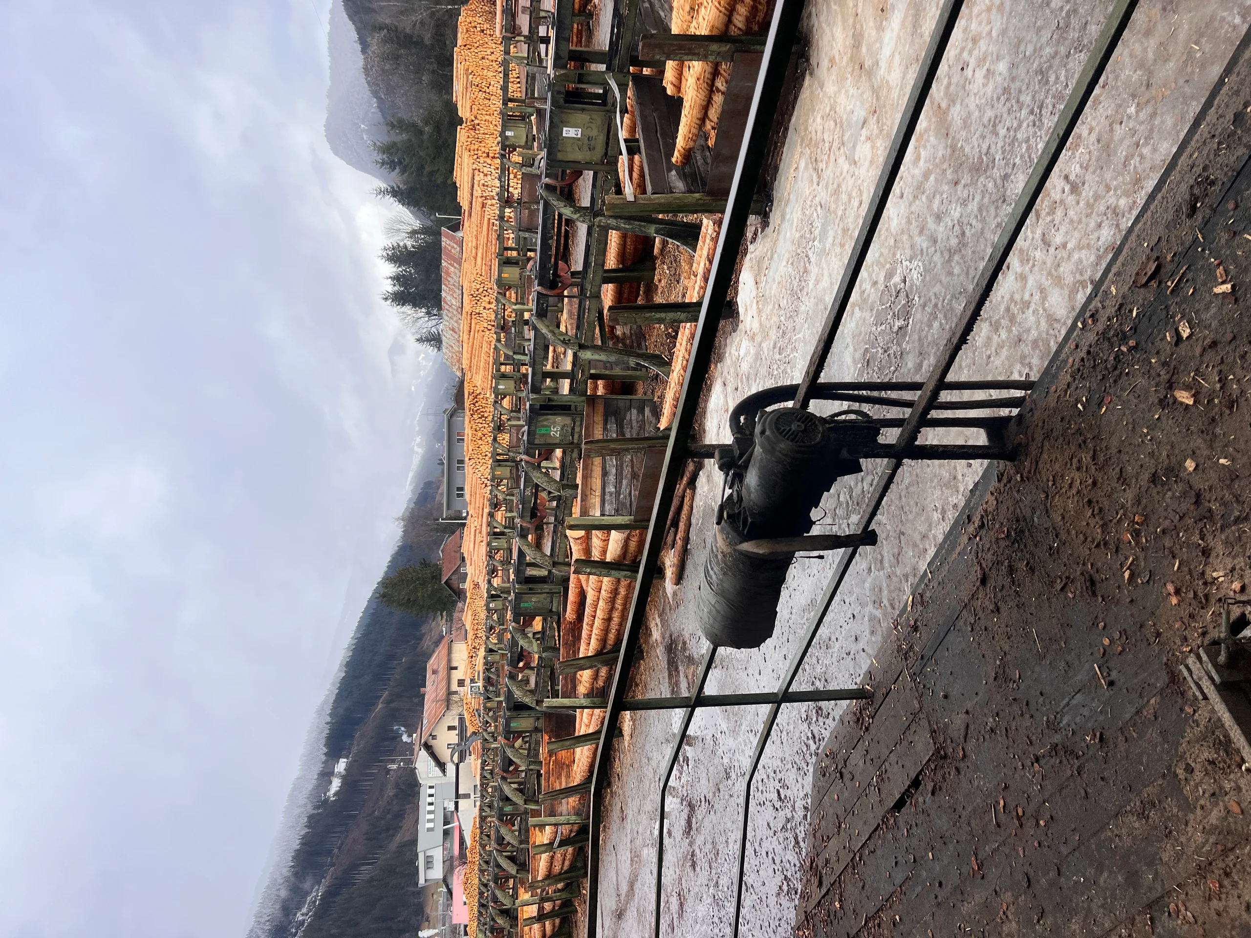 Installation de triage des grumes avec écorçage - Image 11