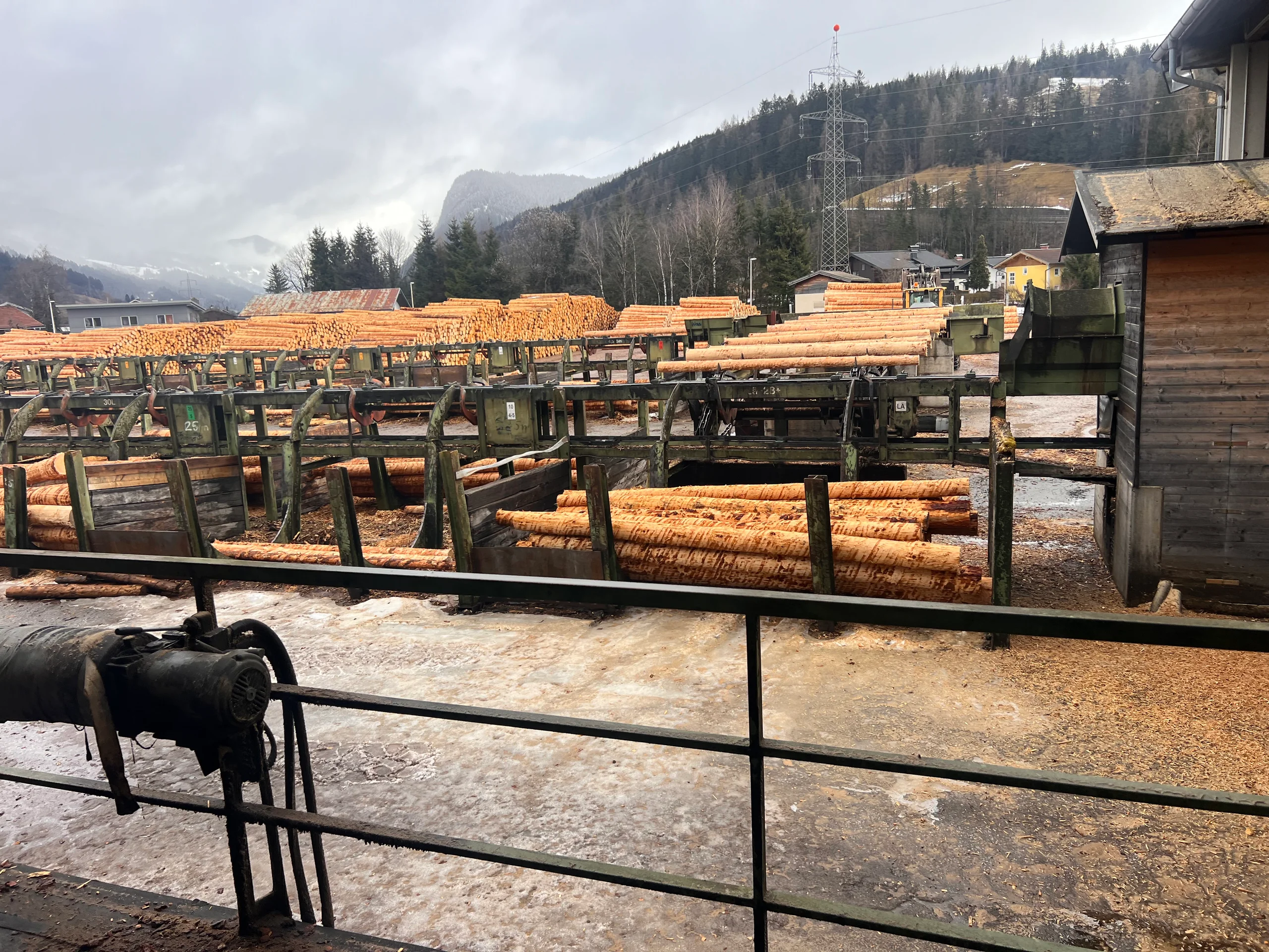 Installation de triage des grumes avec écorçage - Image 12