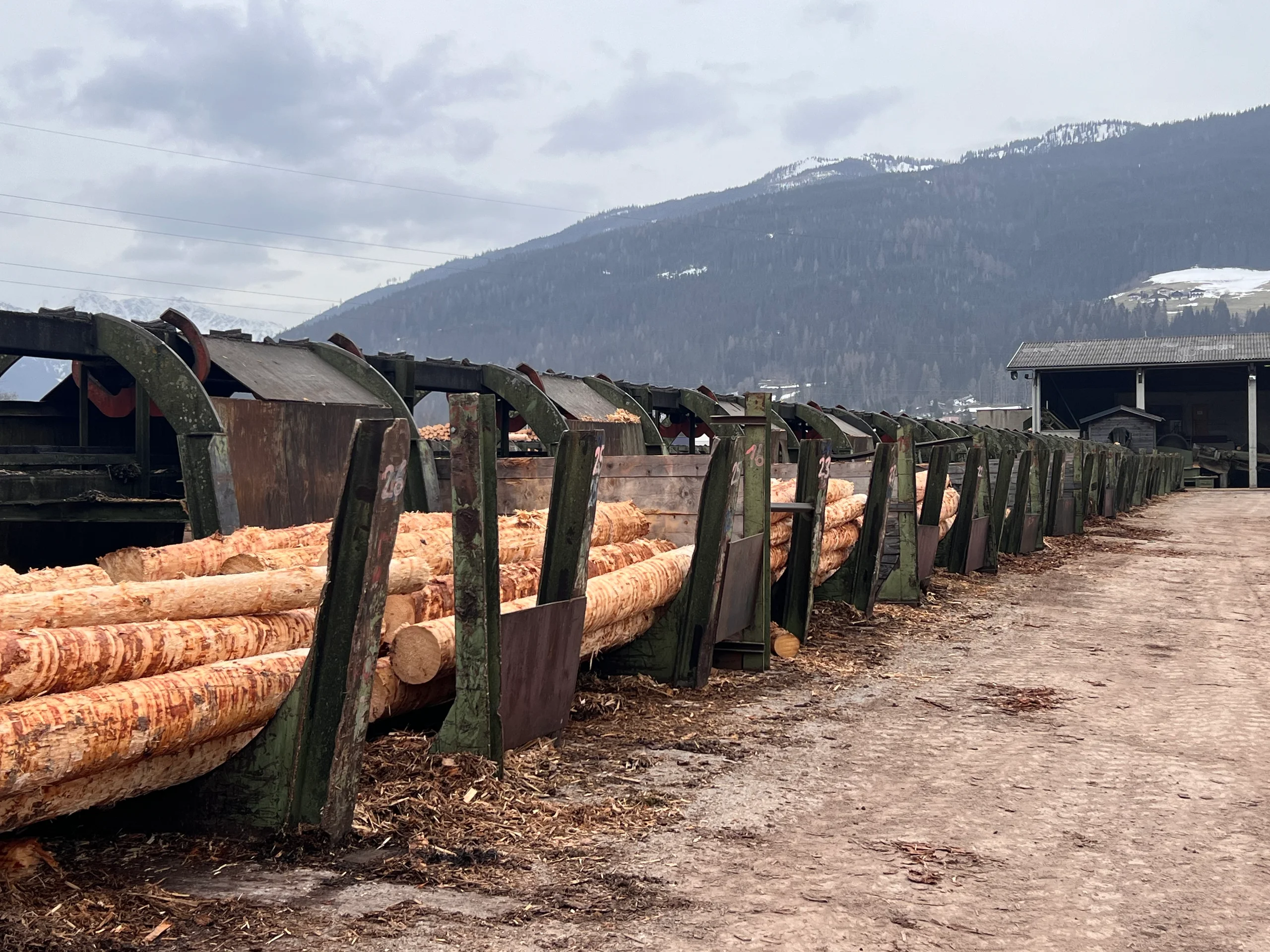 Installation de triage des grumes avec écorçage - Image 13