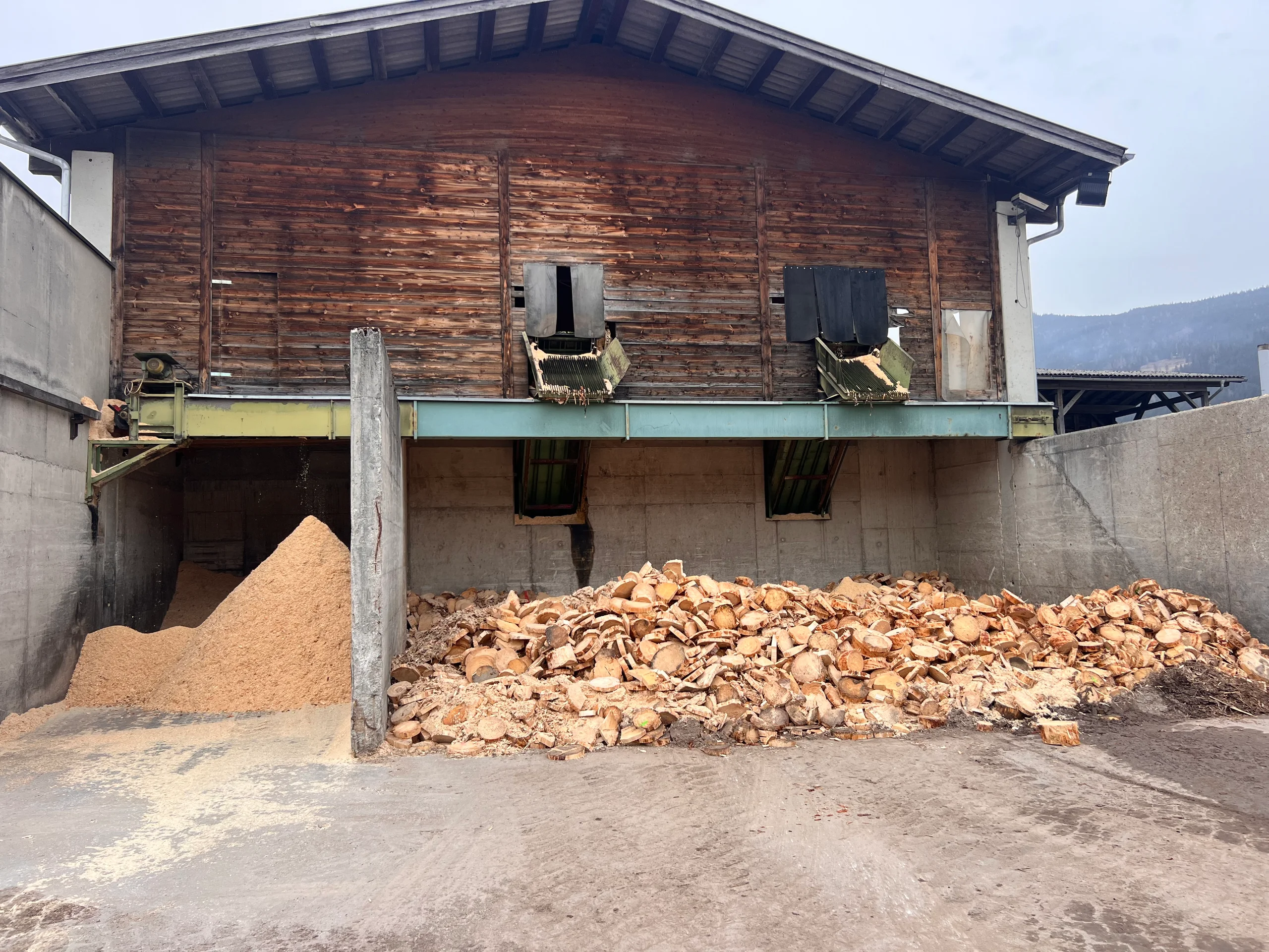 Installation de triage des grumes avec écorçage - Image 17