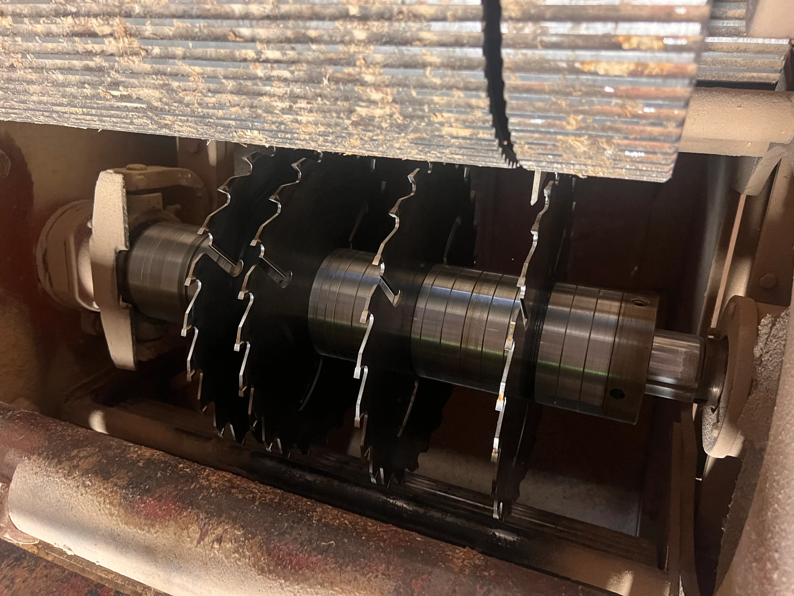 Déligneuse - Image 5