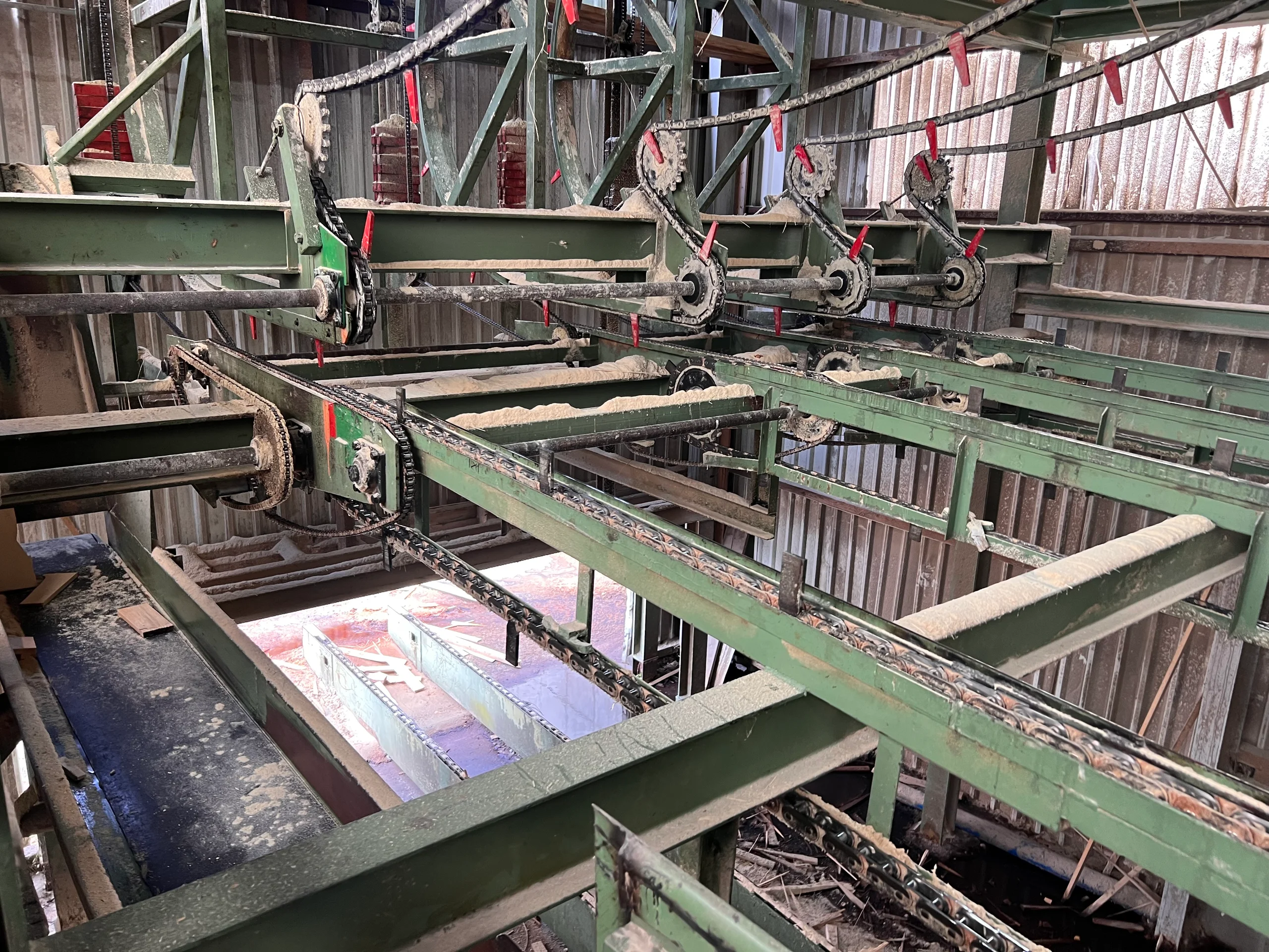 Ligne de tri de bois scié - Image 4