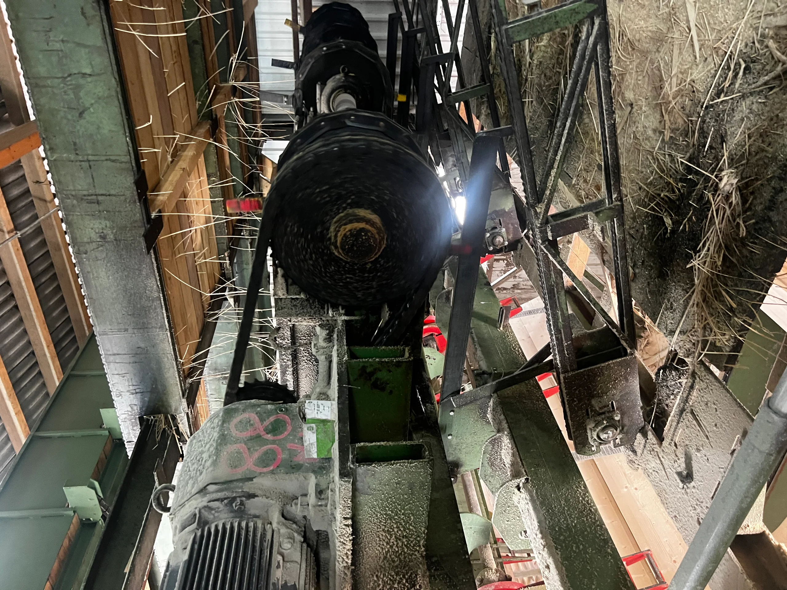 Ligne de tri de bois scié - Image 9