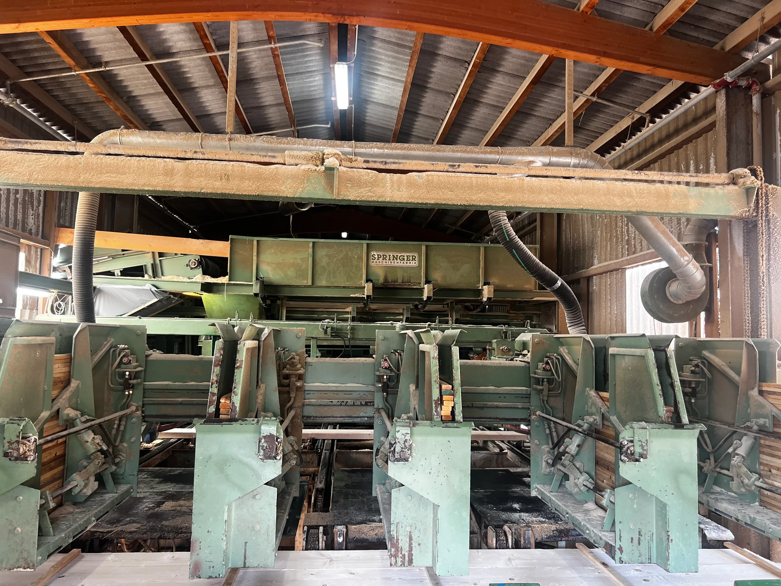 Ligne de tri de bois scié - Image 14