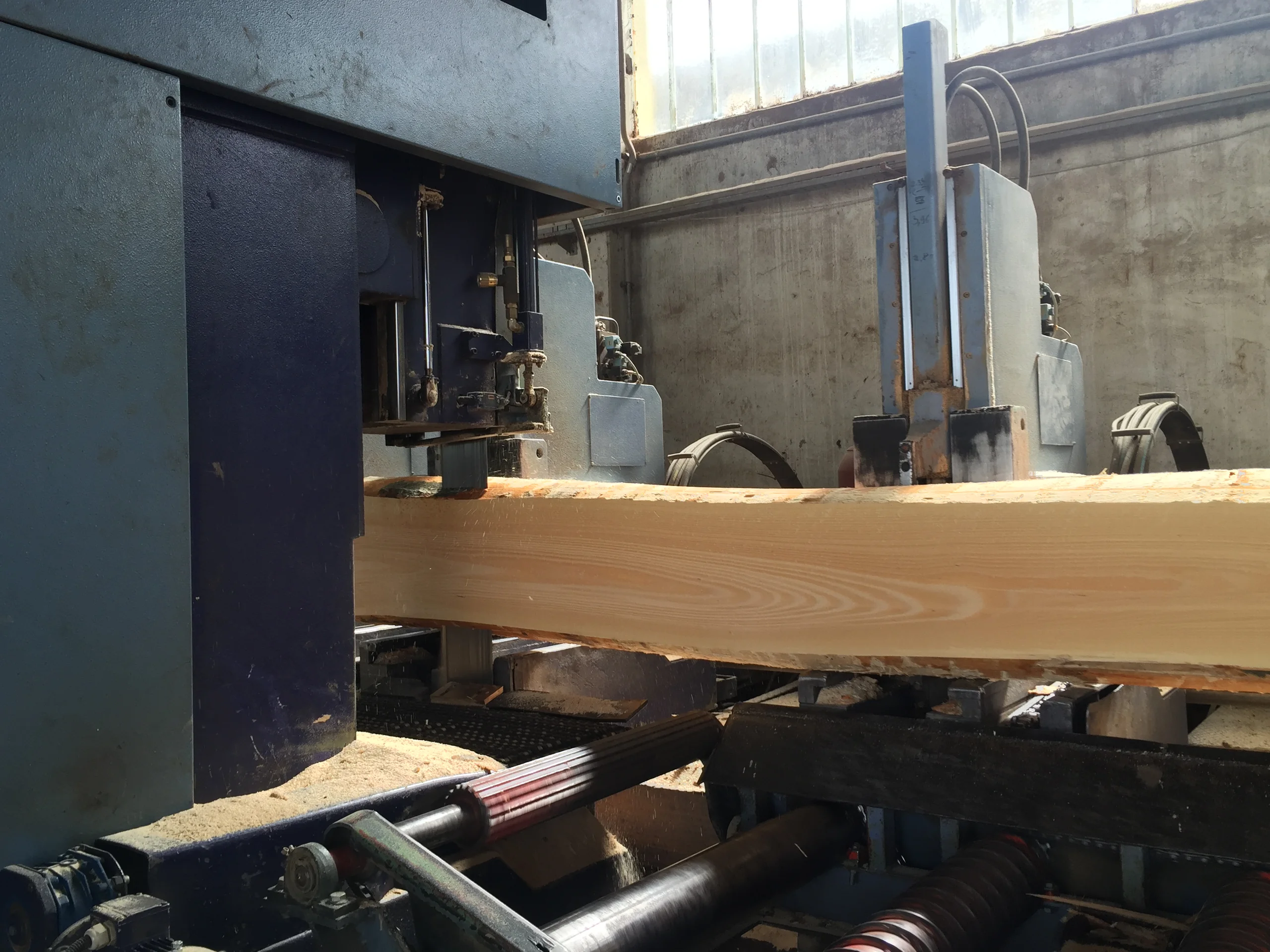 Scie à ruban PRIMULTINI