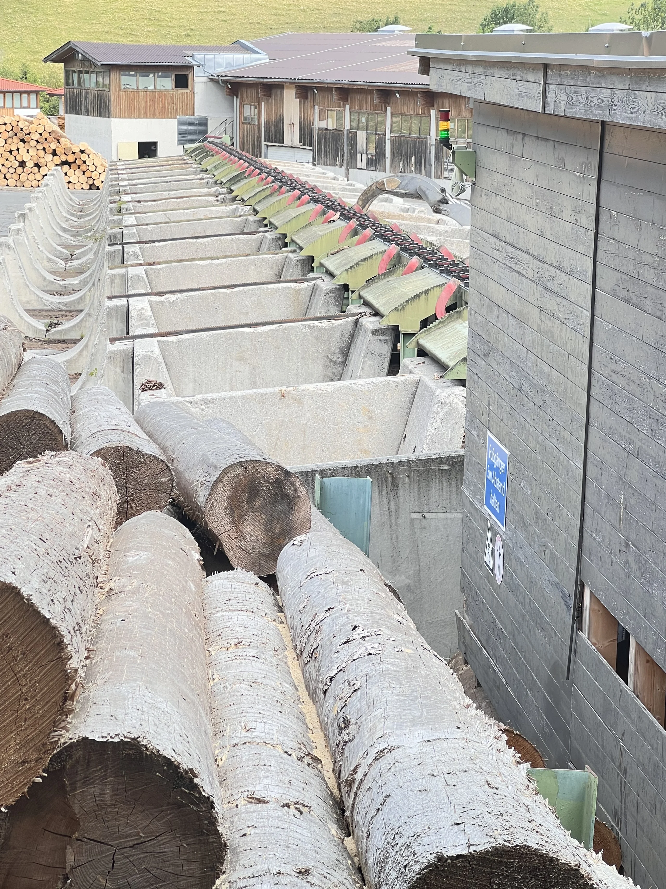 Installation complète de scierie : EWD - Springer - Nicholson.... - Image 3