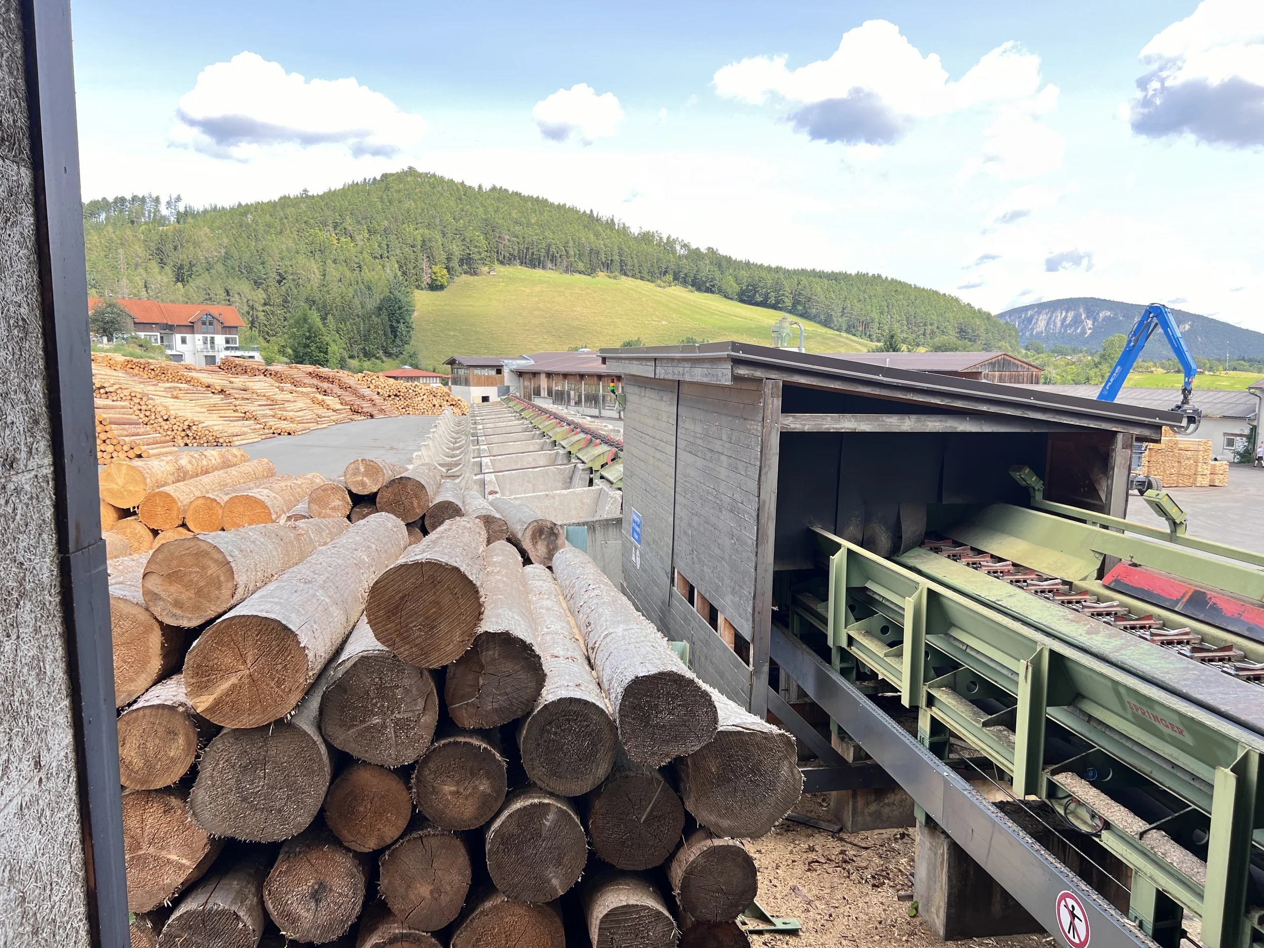 Installation complète de scierie : EWD - Springer - Nicholson.... - Image 4