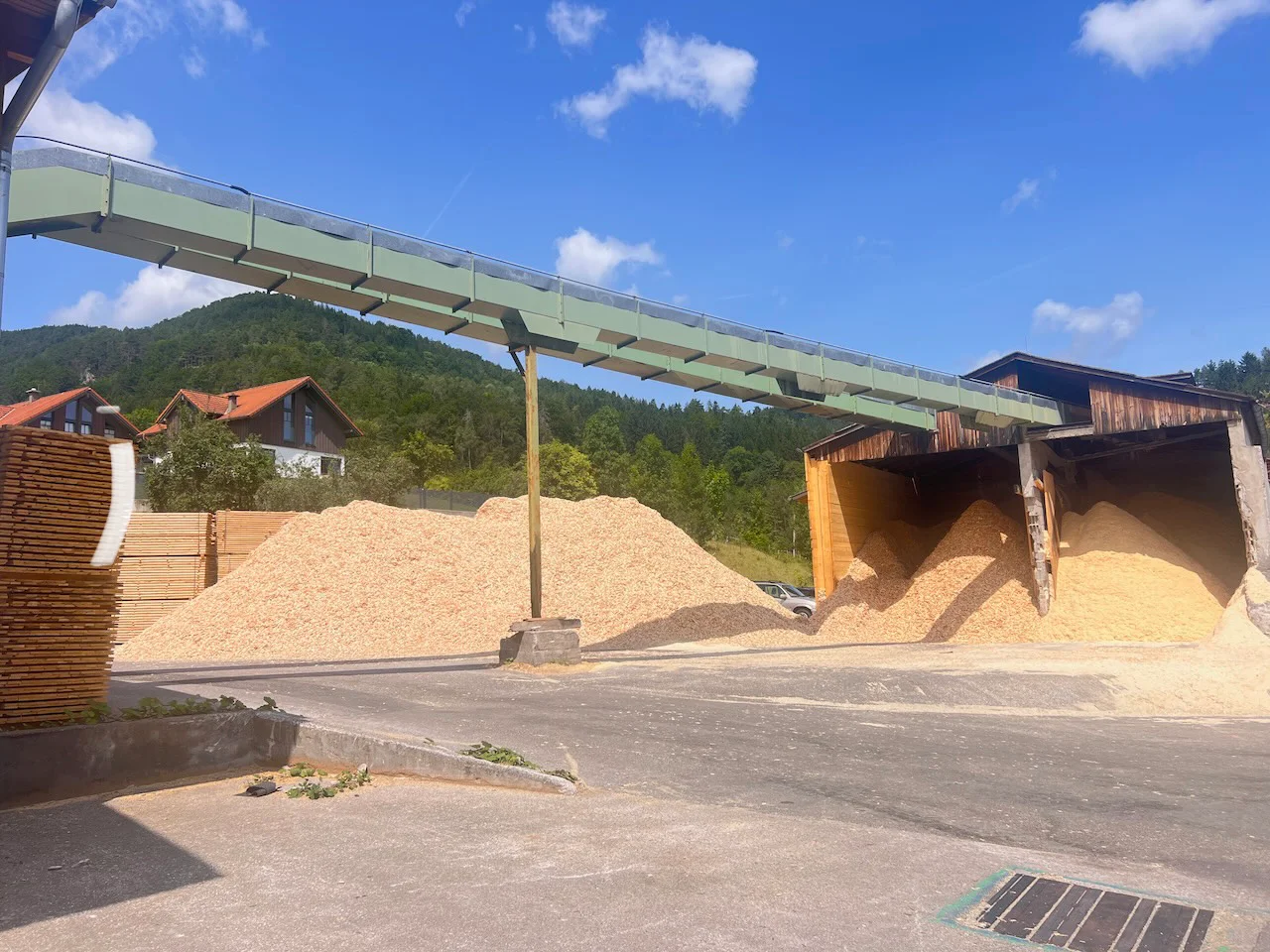 Installation complète de scierie : EWD - Springer - Nicholson.... - Image 8